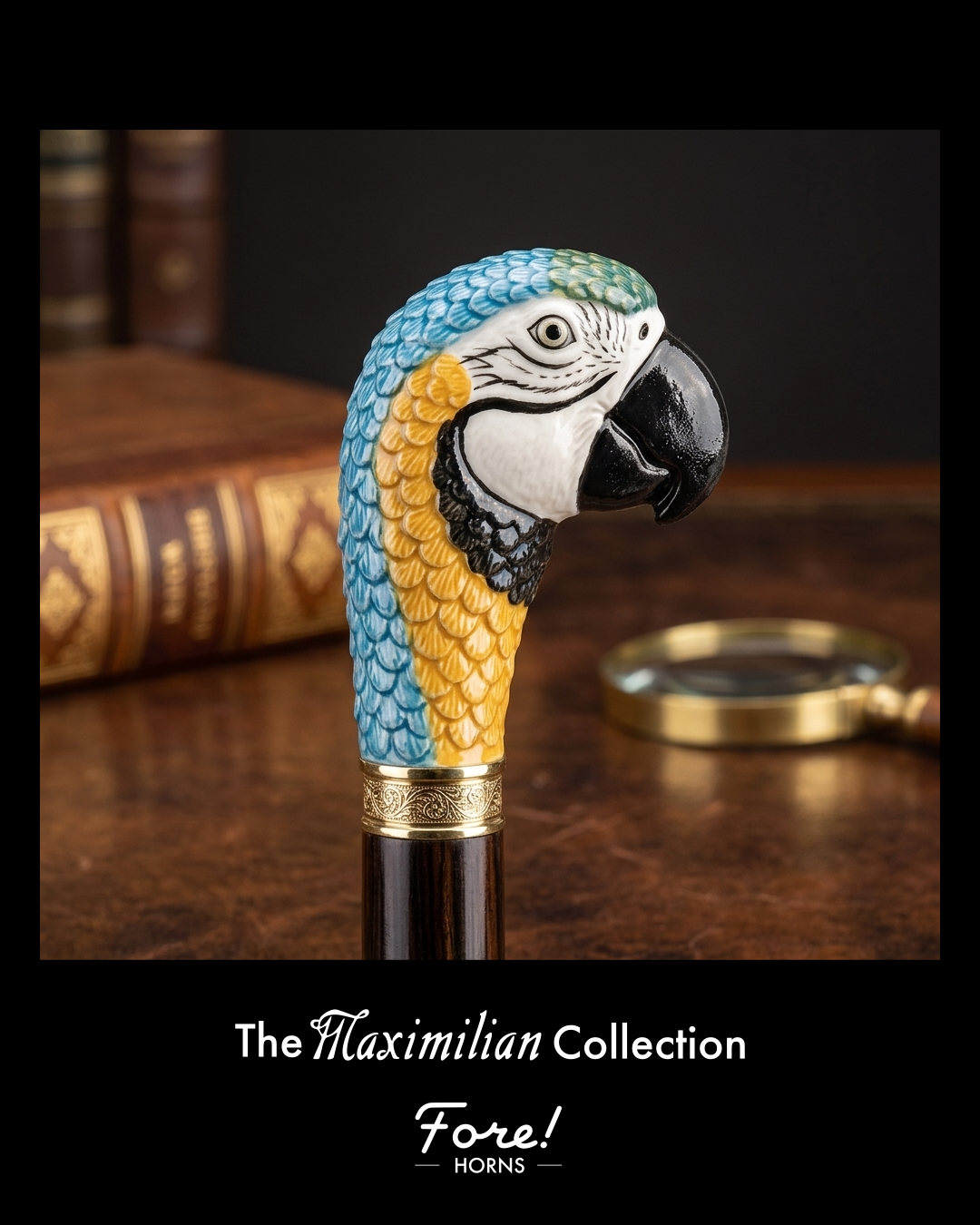 The Maximilian Collection