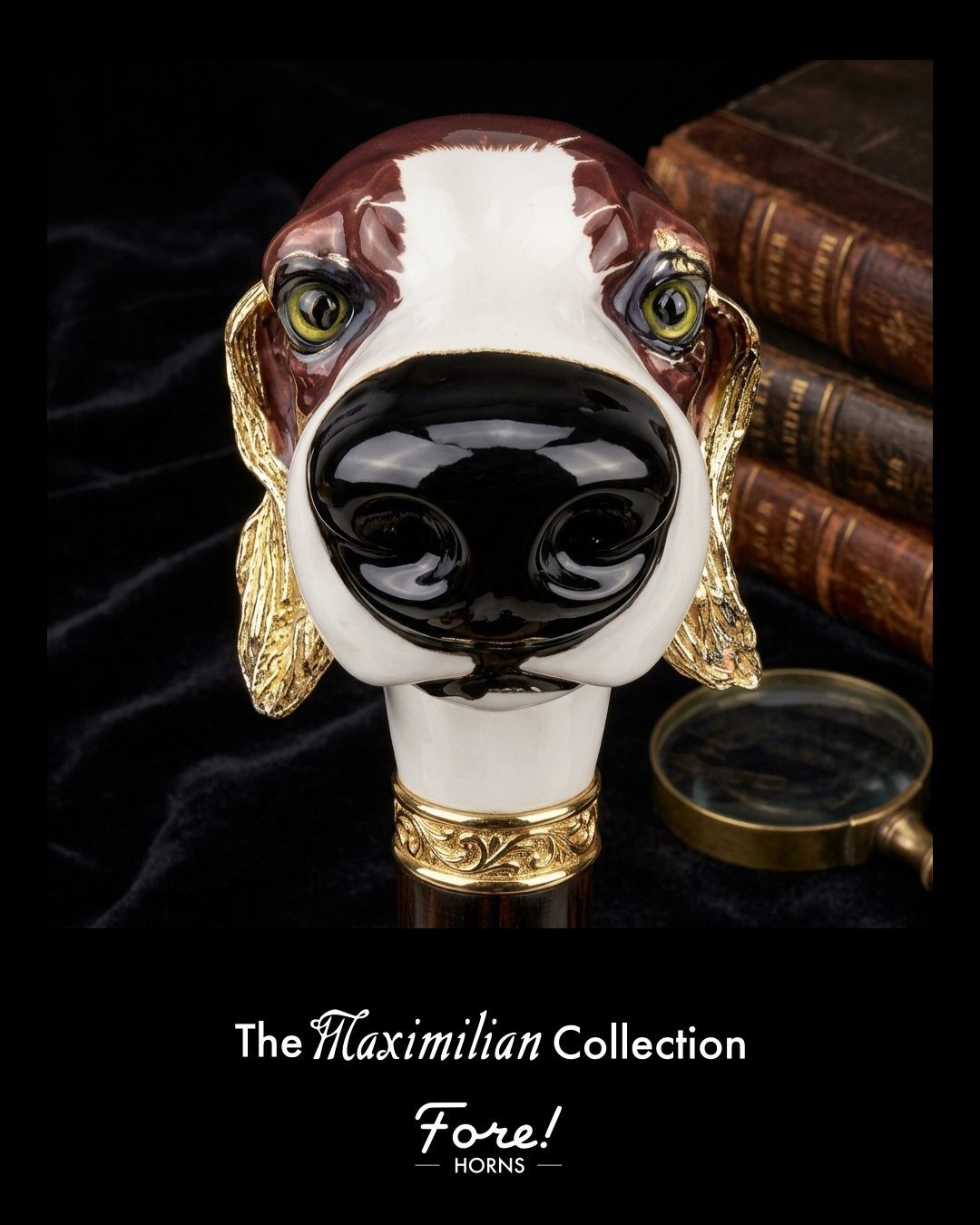The Maximilian Collection